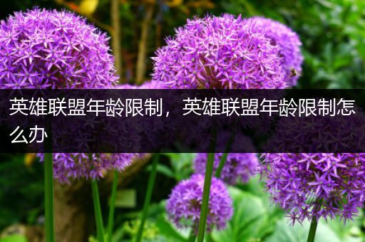英雄联盟年龄限制，英雄联盟年龄限制怎么办