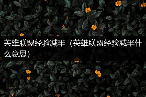 英雄联盟经验减半（英雄联盟经验减半什么意思）