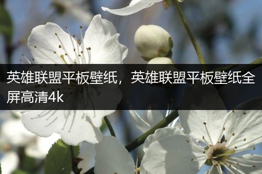 英雄联盟平板壁纸，英雄联盟平板壁纸全屏高清4k