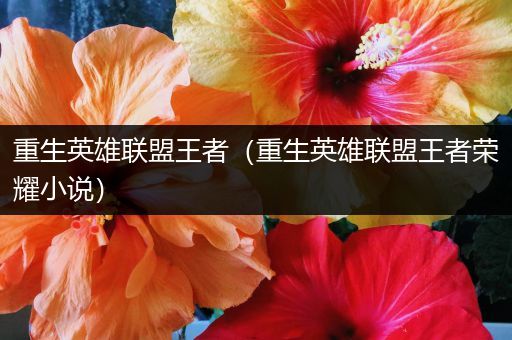 重生英雄联盟王者（重生英雄联盟王者荣耀小说）