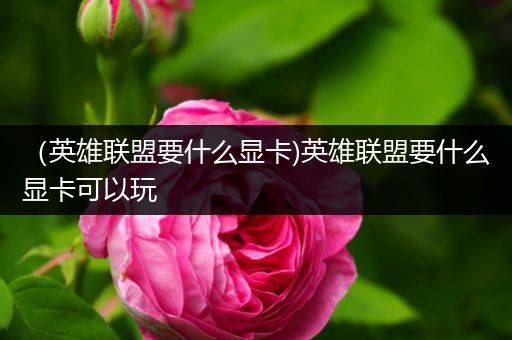 （英雄联盟要什么显卡)英雄联盟要什么显卡可以玩
