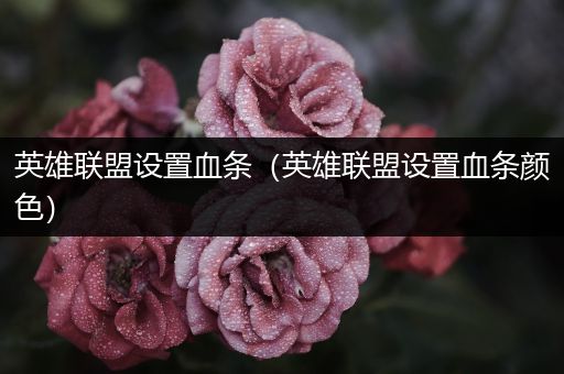 英雄联盟设置血条（英雄联盟设置血条颜色）