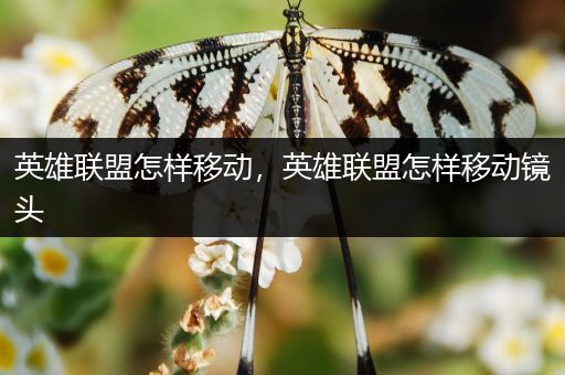 英雄联盟怎样移动，英雄联盟怎样移动镜头
