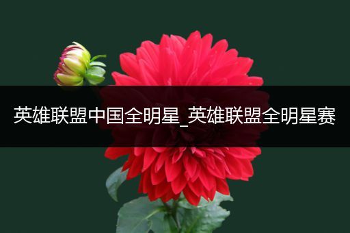 英雄联盟中国全明星_英雄联盟全明星赛