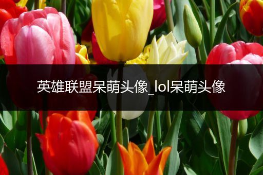 英雄联盟呆萌头像_lol呆萌头像