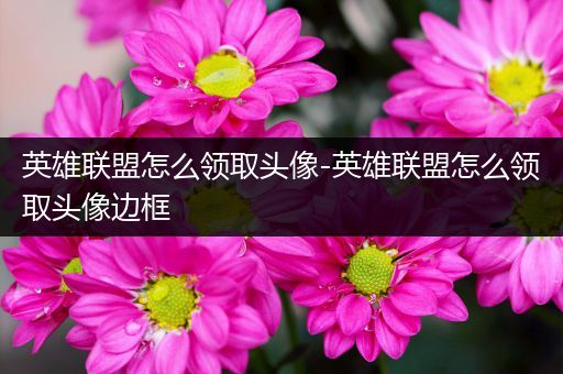英雄联盟怎么领取头像-英雄联盟怎么领取头像边框