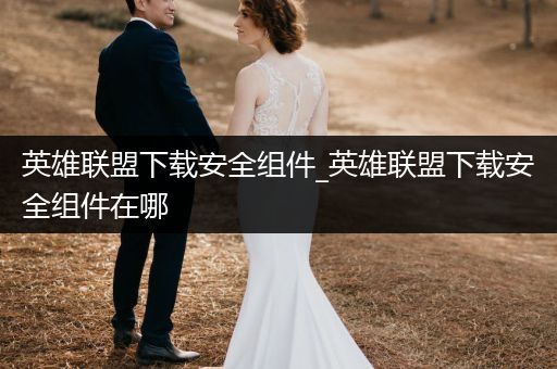 英雄联盟下载安全组件_英雄联盟下载安全组件在哪