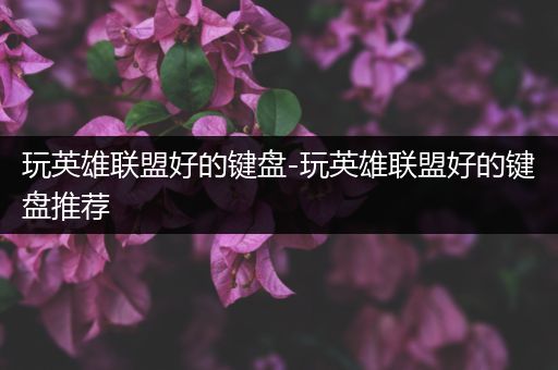 玩英雄联盟好的键盘-玩英雄联盟好的键盘推荐