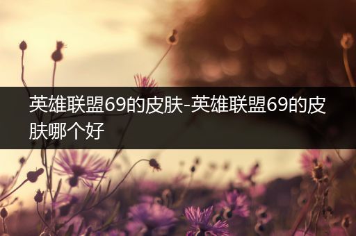 英雄联盟69的皮肤-英雄联盟69的皮肤哪个好