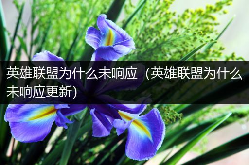 英雄联盟为什么未响应（英雄联盟为什么未响应更新）