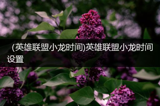 （英雄联盟小龙时间)英雄联盟小龙时间设置