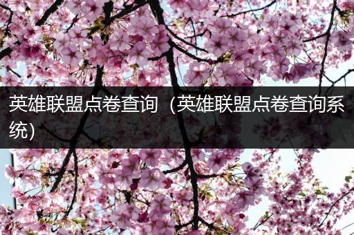 英雄联盟点卷查询（英雄联盟点卷查询系统）
