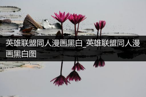 英雄联盟同人漫画黑白_英雄联盟同人漫画黑白图