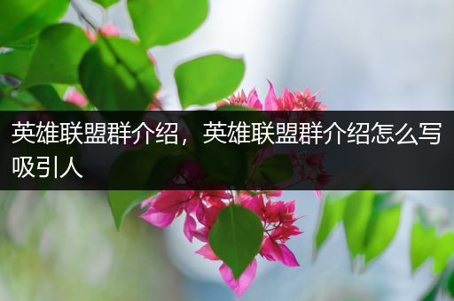 英雄联盟群介绍，英雄联盟群介绍怎么写吸引人