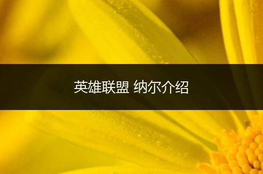英雄联盟 纳尔介绍