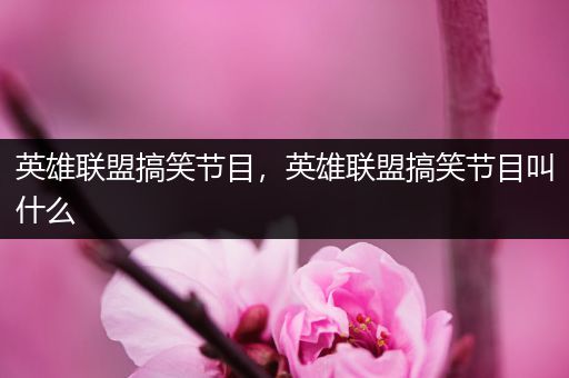 英雄联盟搞笑节目，英雄联盟搞笑节目叫什么