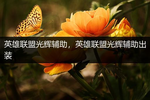 英雄联盟光辉辅助，英雄联盟光辉辅助出装