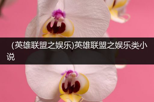 （英雄联盟之娱乐)英雄联盟之娱乐类小说
