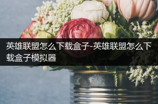 英雄联盟怎么下载盒子-英雄联盟怎么下载盒子模拟器