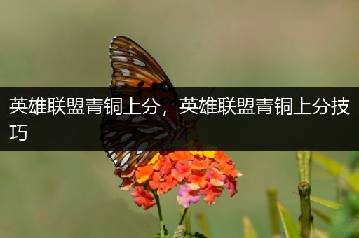 英雄联盟青铜上分，英雄联盟青铜上分技巧