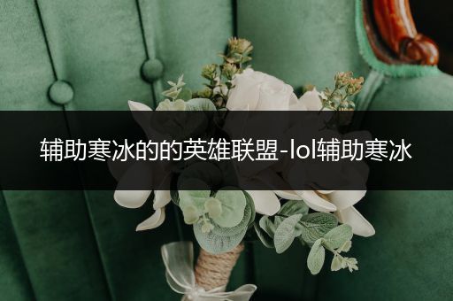 辅助寒冰的的英雄联盟-lol辅助寒冰