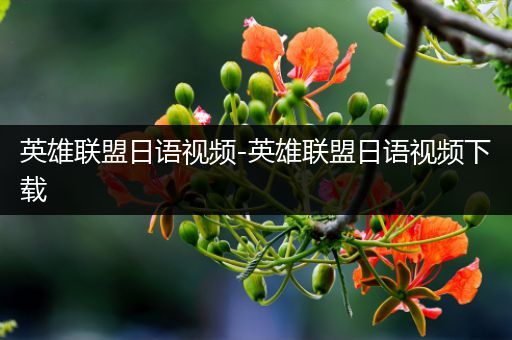 英雄联盟日语视频-英雄联盟日语视频下载