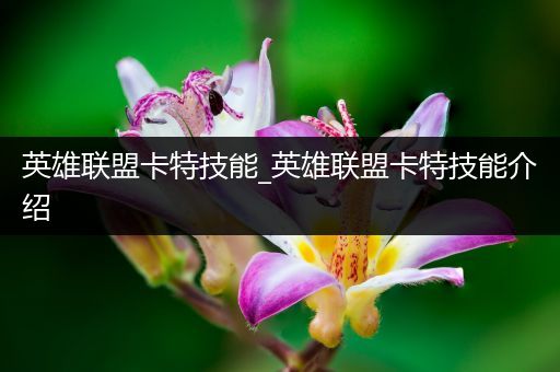 英雄联盟卡特技能_英雄联盟卡特技能介绍