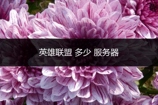 英雄联盟 多少 服务器