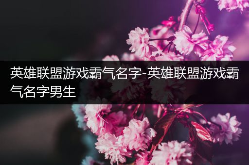英雄联盟游戏霸气名字-英雄联盟游戏霸气名字男生