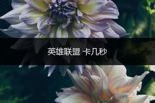 英雄联盟 卡几秒
