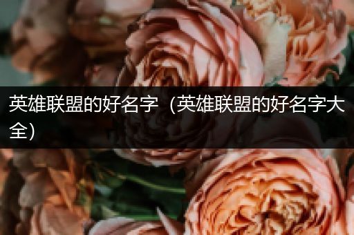 英雄联盟的好名字（英雄联盟的好名字大全）