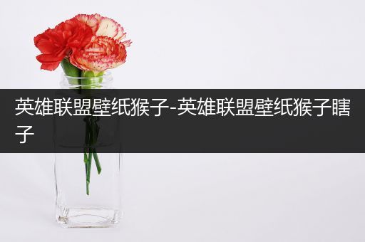 英雄联盟壁纸猴子-英雄联盟壁纸猴子瞎子
